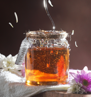 PET Jar Honey 500gm